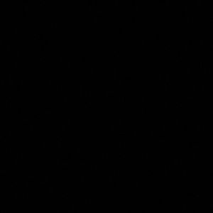 Meet your Posher, Chey